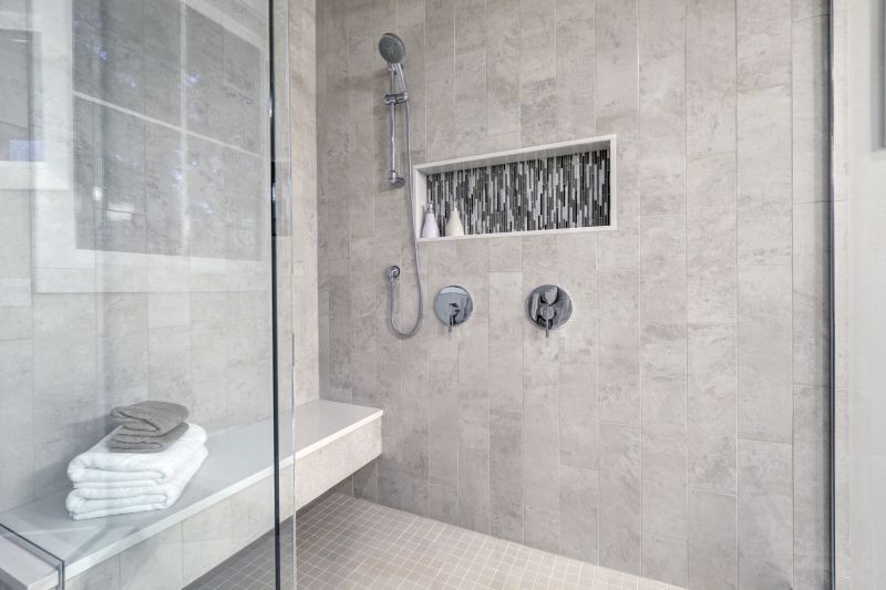 Modern Shower with Built-in Shelves